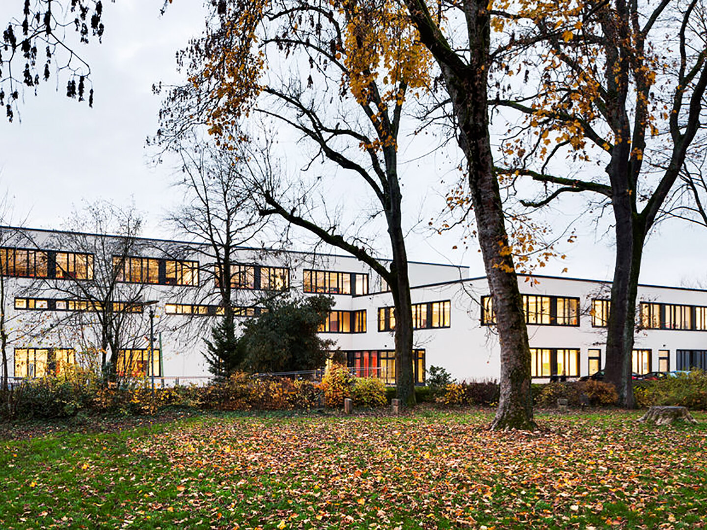 Außenansicht Gebäude mit Wiese und Bäumen