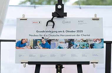 Grundsteinlegung © DHZC/Paff