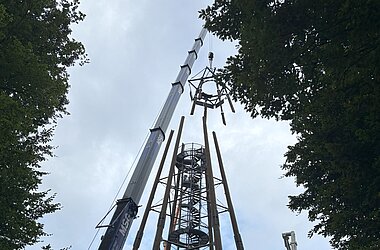 Die Arbeiten schreiten voran: Rückbau der zentralen Stützen unter Einsatz modernster Technik.