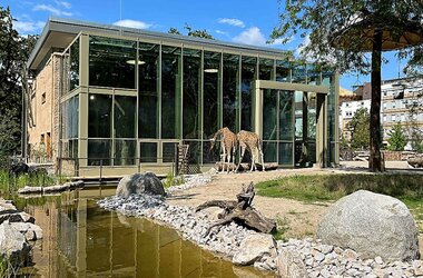 Neue Afrikasavanne im Karlsruher Zoo