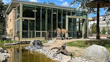Neue Afrikasavanne im Karlsruher Zoo