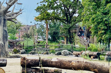 Blick auf das Area der Afrikasavanna im Karlsruher Zoo