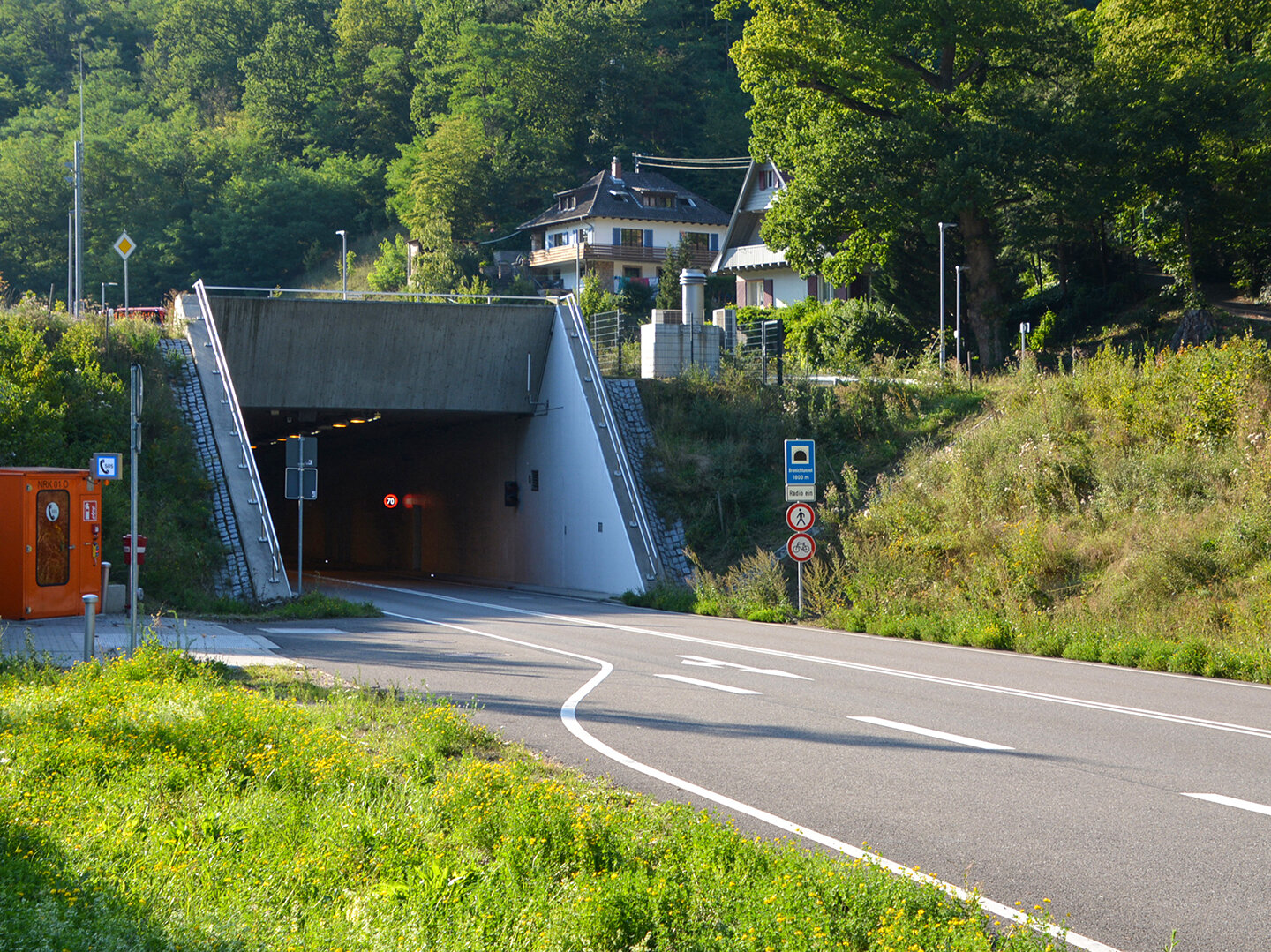 Tunnel Eingang von Wiese umgeben