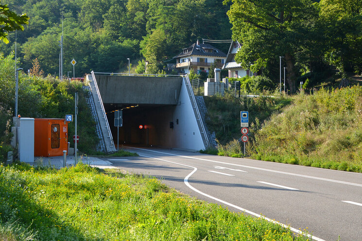 Tunnel Eingang von Wiese umgeben