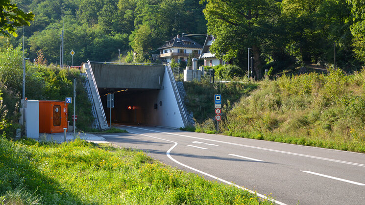 Tunnel Eingang von Wiese umgeben