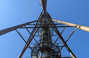 Detailansicht der komplexen Tragkonstruktion aus Douglasienstämmen und Stahlverstrebungen.