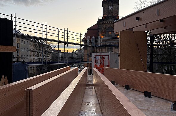 Baubuche-Elemente für Decken und Tragsysteme 