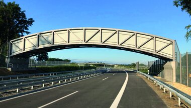 Verkehrsfreigabe B31 Fledermausüberflughilfe und Kollisionsschutzzäune