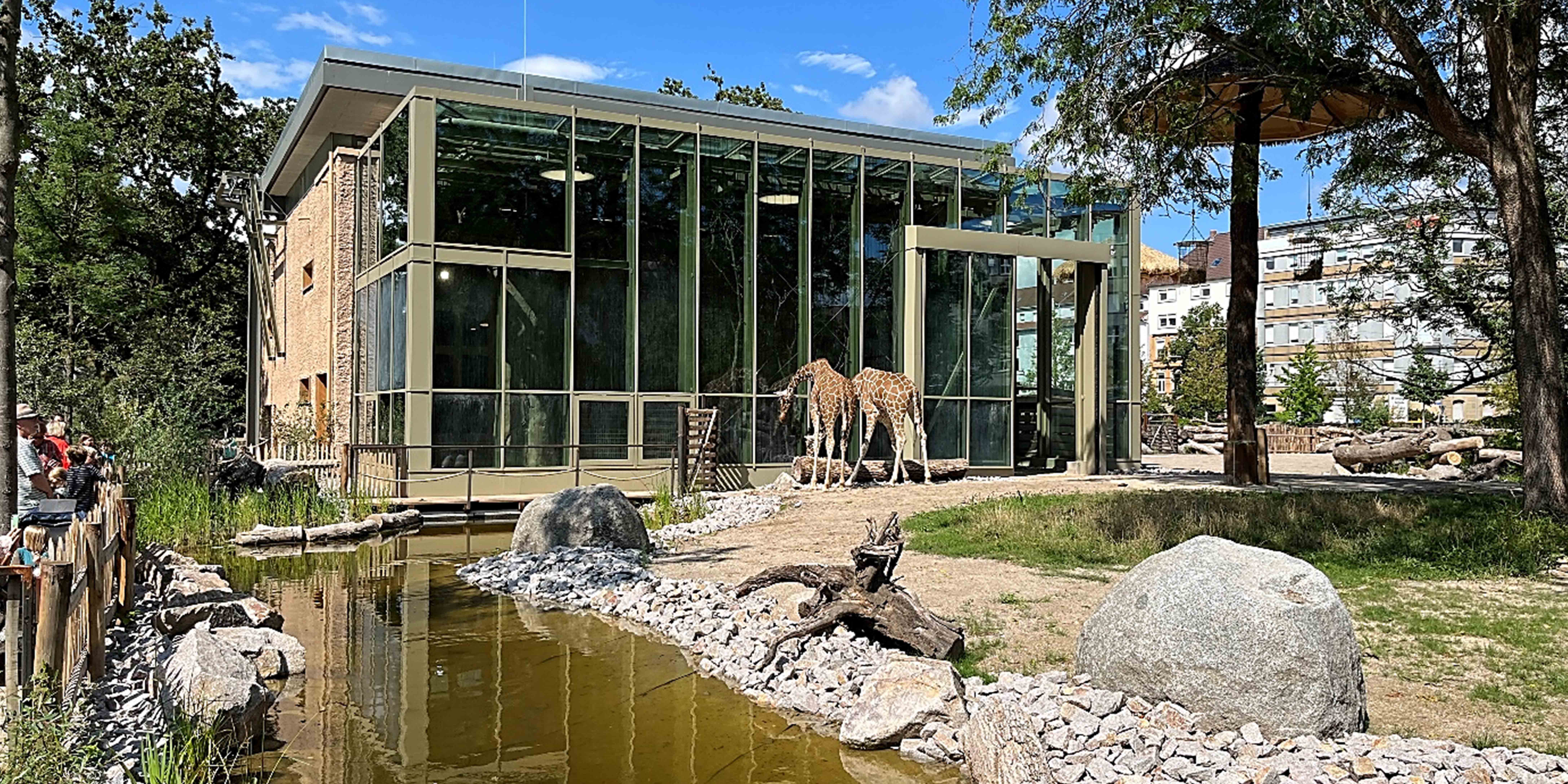 Neue Afrikasavanne im Karlsruher Zoo